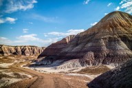 Tiny Spiked Reptile Fossil Shocks Scientists: What Did It Reveal About Ancient Arizona?