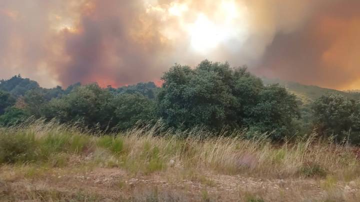 Última hora de los incendios en España, en directo: focos activos en León, Galicia, Extremadura, Zamora...