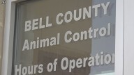 Bell County commissioners spar over animal services staffing and safety concerns