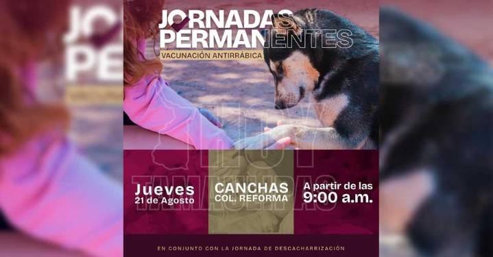 Gobierno de Matamoros efectúa jornada permanente de vacunación antirrábica y descharrización