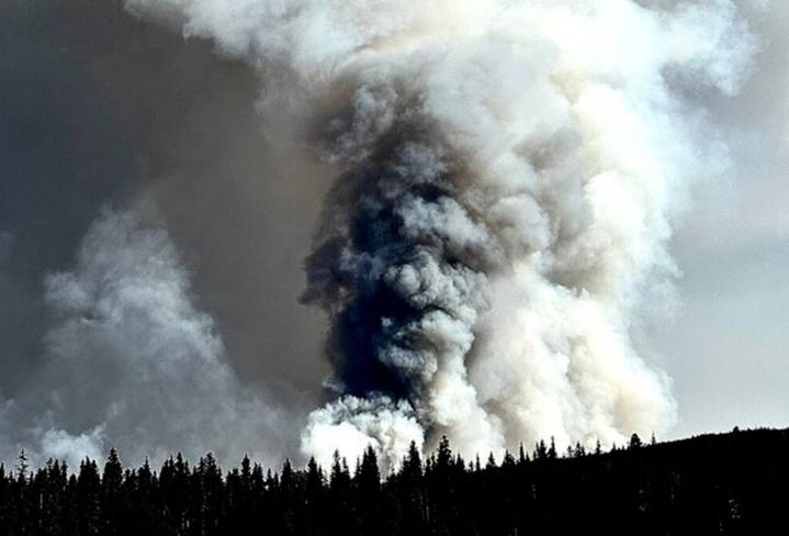 B.C. cattle ranch sues province over wildfire back burn