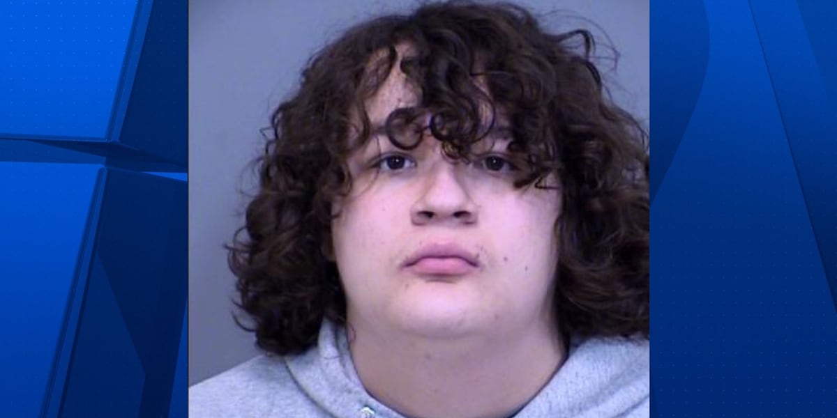 Man accused of throwing sex toy at fans during Phoenix Mercury game