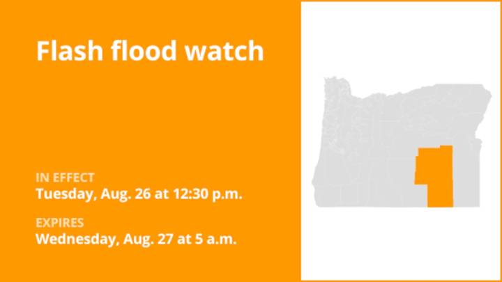 Flash flood watch affecting Harney County until early Wednesday morning triggered by persistent rainfall
