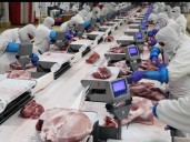 Productores de cerdo mexicanos alertan ‘dumping’ de EU