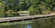 West Nile Virus rates in Ohio at its highest since 2012