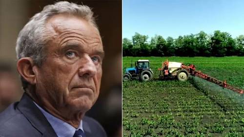 What draft of new 'MAHA' report says about pesticides and ultra