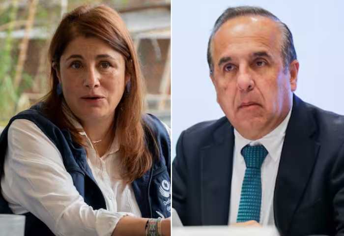 Consejo de Estado ratifica en sus cargos a la defensora del Pueblo y al embajador en Suecia