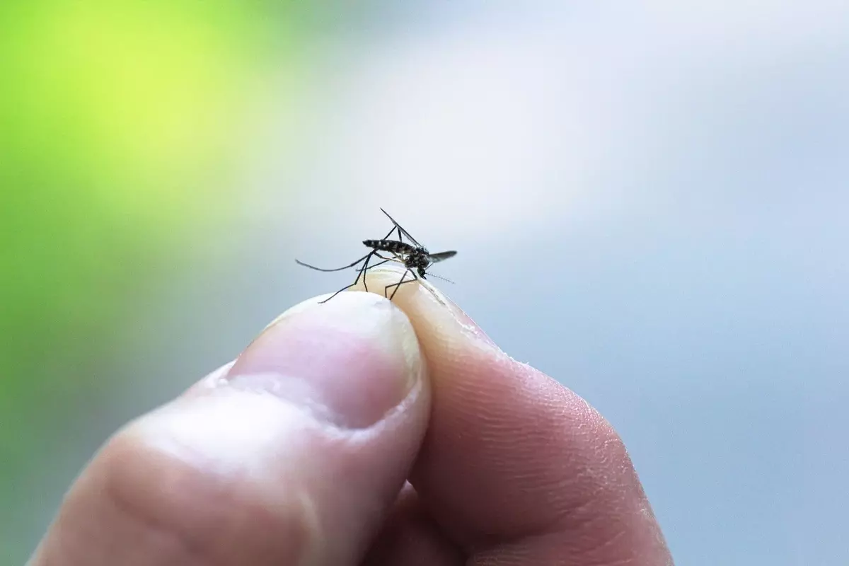 First West Nile Virus Case of 2025 Confirmed in Kentucky