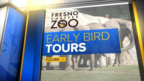 Guided tour of Fresno Chaffee Zoo's babies