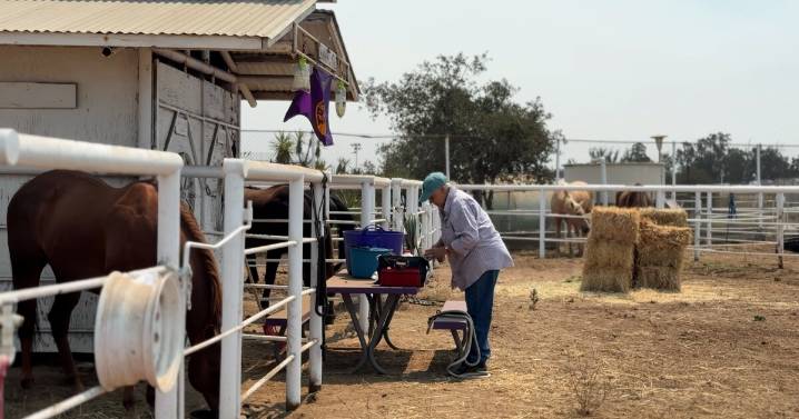 Elks Event Center becomes safe haven for evacuated livestock fleeing Gifford Fire