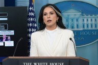 Tulsi Gabbard Gutting Almost Half of Her Workforce in Massive New Cuts