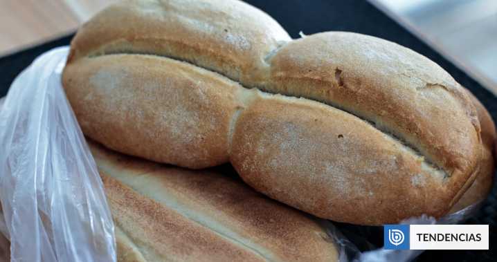 Cómo científicos chilenos editaron el trigo para que el pan tenga más fibra: bastará comer 2 rebanadas