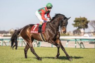 46-Year-Old Veteran Makes American Dream Come True Thanks to California Horse Racing Track