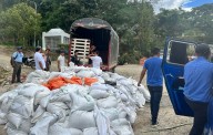 A través de InnovaCafé, Gobernación del Tolima fortalece la caficultura en Rioblanco con entrega de herramientas y filtros verdes