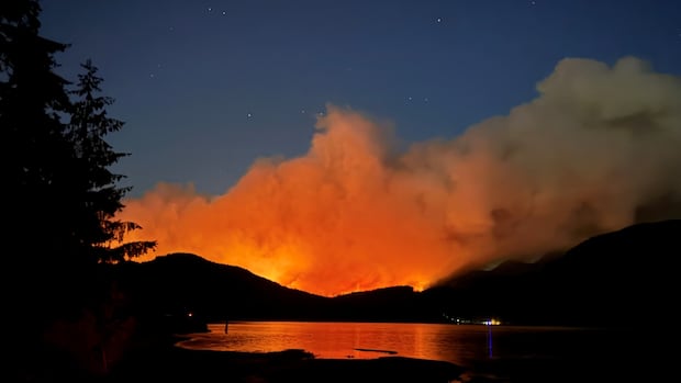 'Explosive' wildfire growth near Port Alberni, B.C., unusual for Vancouver Island: wildfire service