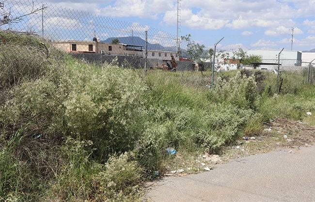 Denuncian vecinos de Villas de San Lorenzo acumulamiento de hierba y escombros de escuela