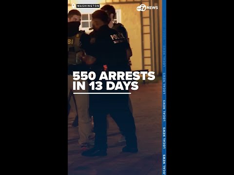 550 people arrested in 13 days in DC, quarter of arrests listed as 'other'