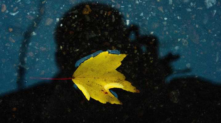 How cool will the weather get this week in Alabama? What we know