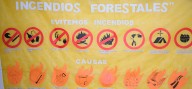 Generemos conciencia y evitemos incendios forestales