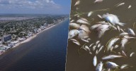 Detectan marea roja en Yucatán: ¿Qué es y qué tan riesgoso es vacacionar en las playas por contaminación?