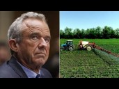 Draft of new 'MAHA' report suggests RFK Jr. won't target pesticides