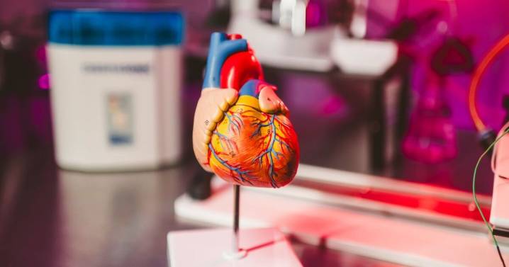 FIU researchers use AI to detect heart disease early