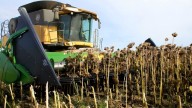 El 65% del financiamiento para el ciclo agrícola 2024/25 se tomó en dólares