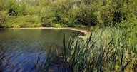My top recommendation for a Leicestershire country park visit