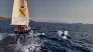 Al menos tres embarcaciones sufren ataques de orcas en la Costa da Vela