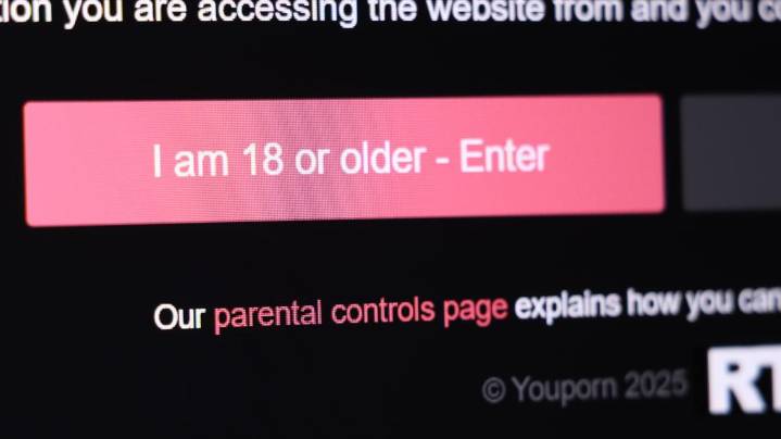 New Michigan legislation aims to shield children from online adult content with age verification