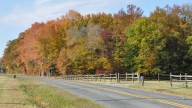 NOAA, Old Farmer's Almanac predict Delaware's fall weather