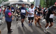 Realizan la carrera "Amas es adoptar" en Coyoacán; participan más de 100 personas