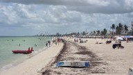 Progreso vive intensa actividad turística con doble arribo de cruceros