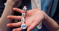 Girl Guides of Canada suspending all travel to U.S.
