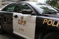 Brampton man drowns after jumping off bridge into the Grand River