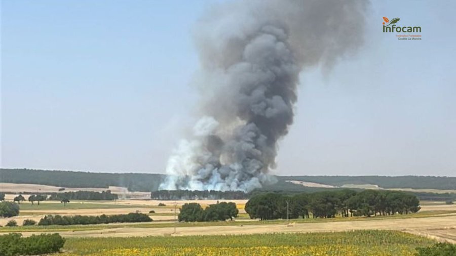 Activo un incendio forestal en Almodóvar del Pinar
