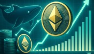 Ethereum Whale Activity Surges With $946.6M Weekly Accumulation