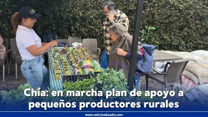 Chía: en marcha plan de apoyo y acompañamiento a productores rurales
