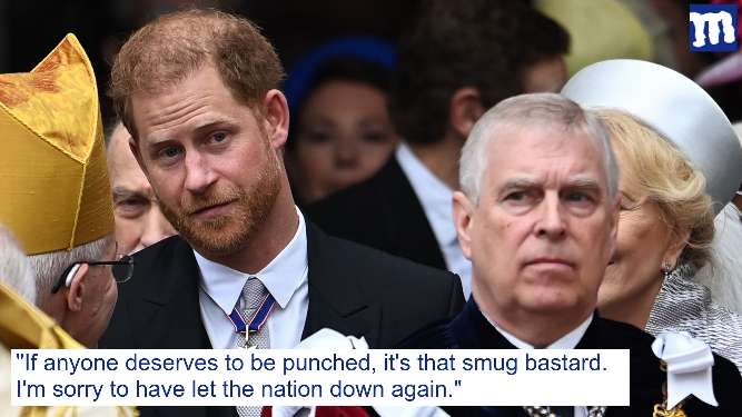 Harry apologises to Britain for not twatting Prince Andrew