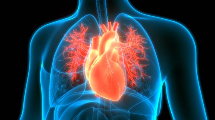 Regulatory Shift Paves Way for AI-Driven Heart Disease Diagnosis