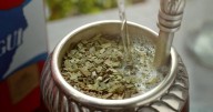 Chau cansancio: la hierba ideal para agregar al mate que ayuda a potenciar tu energía