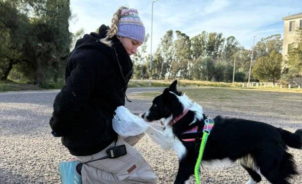 Una nueva ONG de perros detectores nació en Bahía para auxiliar a la Justicia