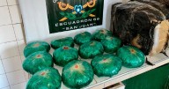Incautaron cocaína en un colectivo y 12 kilos de hojas de coca en un camión