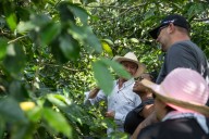 Huila Coffee 2025: una vitrina para los cafés de excelencia