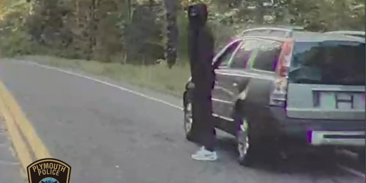 Plymouth police identify man who’s been throwing rocks at vehicles