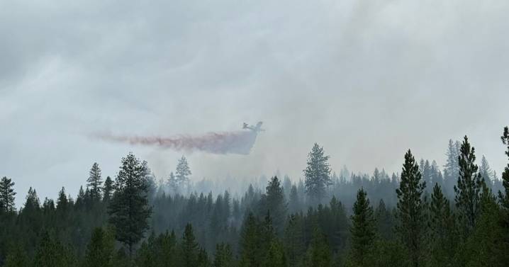Lolo National Forest wildfire update (August 8)