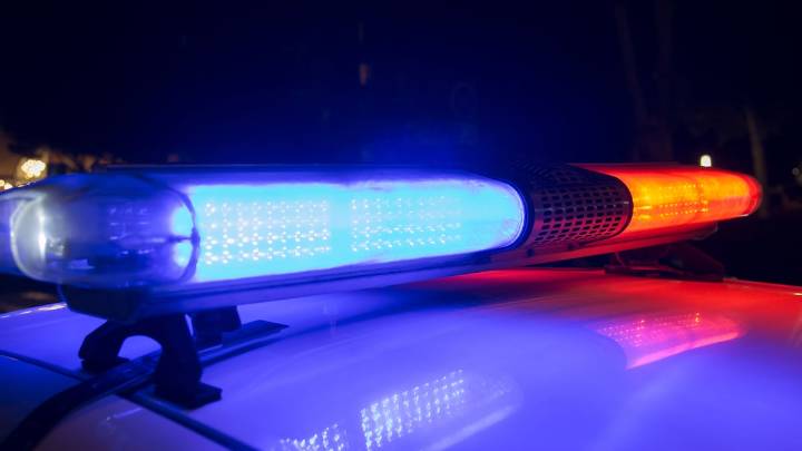 St. Petersburg woman arrested after dog dies from exploding firework