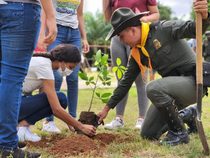 En Puerto Carreño realizaron sembraton en los diferentes parques