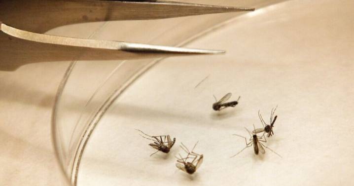 Three human cases of West Nile virus reported by Utah health officials