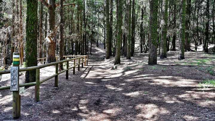 Permitido el tránsito por senderos de municipios del norte de Tenerife desde este sábado
